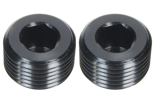 Allen Plugs NPT 1/4in 2pk