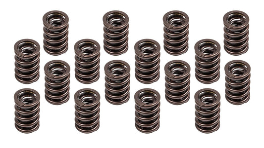 1.460 Valve Spring Set 16